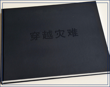 蔡?hào)|福書法作品集